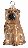 Shar-pei